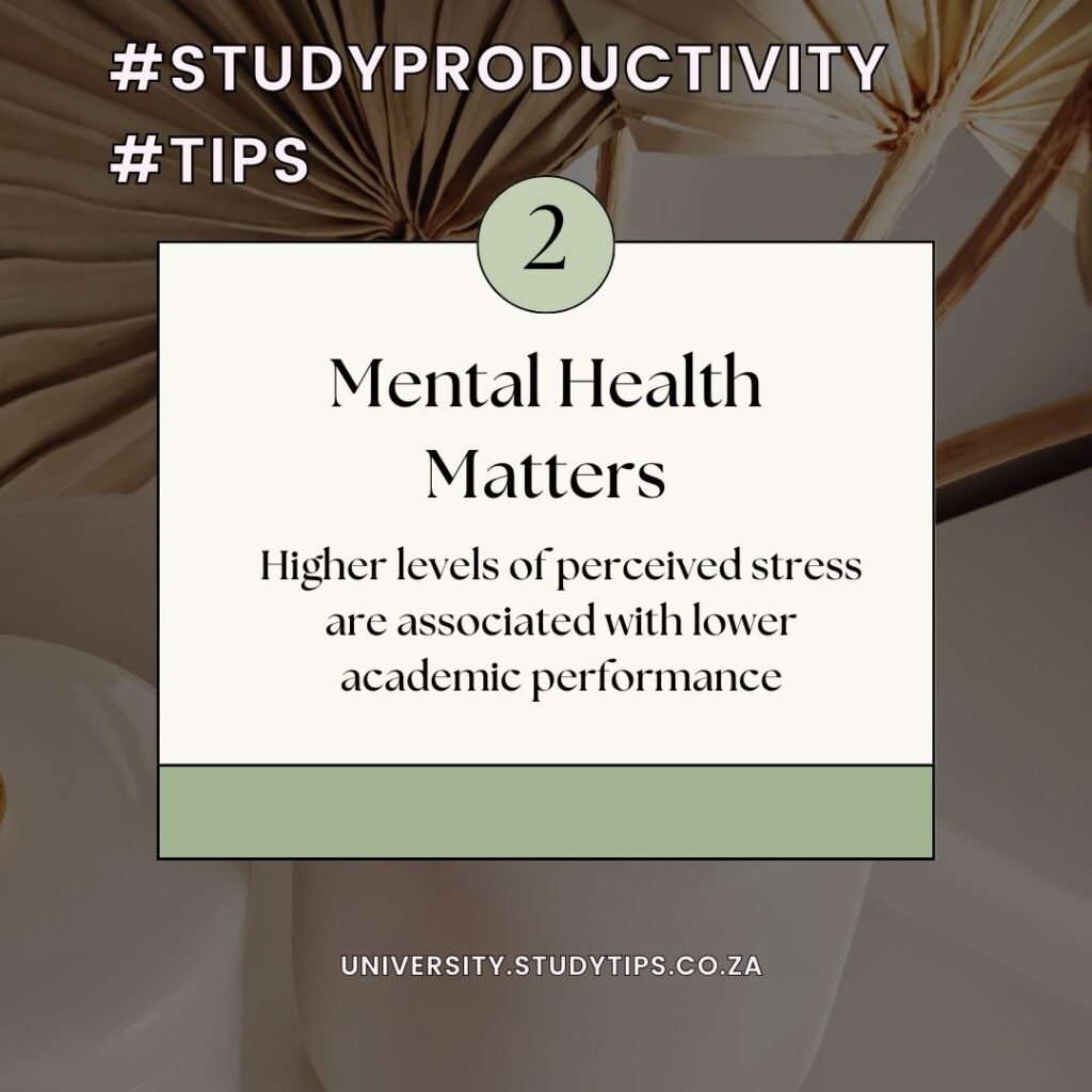 studyproductivity 2 mental health matters